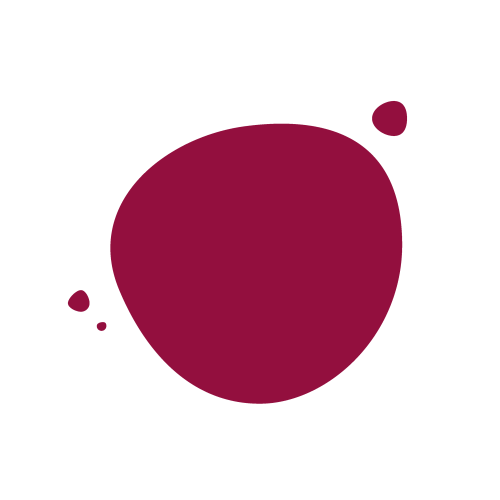 Number of federal ministers who were in the presentation. 